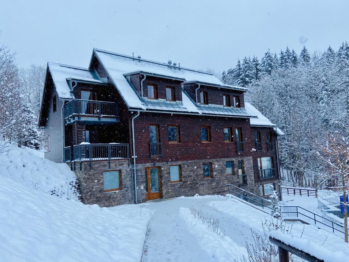 Utulny Apartman V Srdci Krkonos Se Saunou ヤブロネツ・ナト・イゼロウ エクステリア 写真